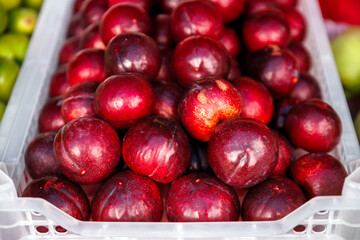vibrant pile of fresh, dark red plums or nectarines displayed in a white plastic crate at a market stall. Focus on healthy fruit, high color saturation, and sweet summer produce