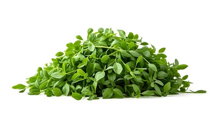 Obraz premium Bunch of fresh green spinach, Fresh spinach leaves