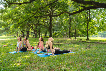 Four focused partners perform a synchronized cobra pose on mats, collective flexibility, spinal health, mental rejuvenation, and open communication.