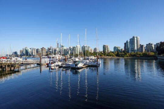 Skyscrapers and sailboats in the marina, Vancouver skyline reflected in the ocean, Coal Harbour, Downton Vancouver, British Columbia, Canada