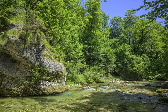 Wanderung entlang der Krummen Steyrling, Molln, Ober&ouml;sterreich, &Ouml;sterreich