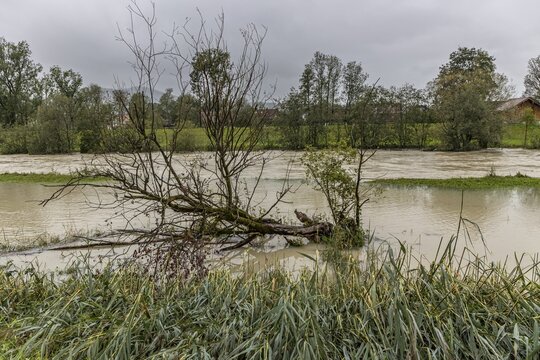 Flood on a river, storm on 26.8.23 near Benediktbeuern, Loisach near Schlehdorf, Bavaria, Germany