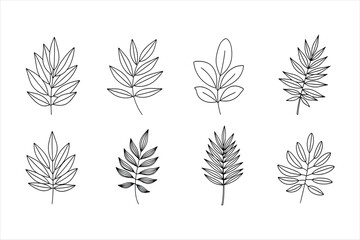 Set of eight hand drawn leaves, vector illustration