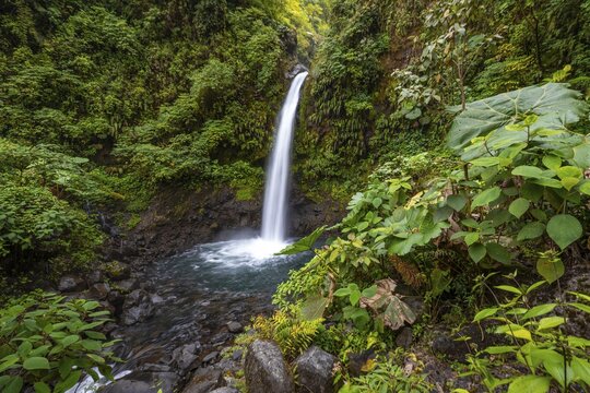 La Paz waterfall, waterfall in dense green vegetation, long exposure, Alajuela province, Costa Rica