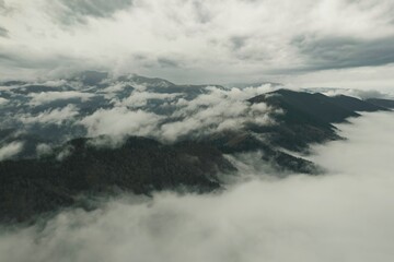 Majestic peaks of the Piatra Craiului Mountains rise dramatically above a sea of fluffy clouds during early morning. The serene landscape is painted in soft shades of gray and green