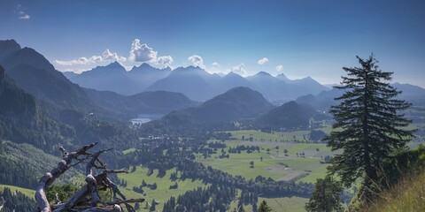 Neuschwanstein Castle, Hohenschwangau near Füssen, Ostallgäu, Allgäu, Bavaria, Germany