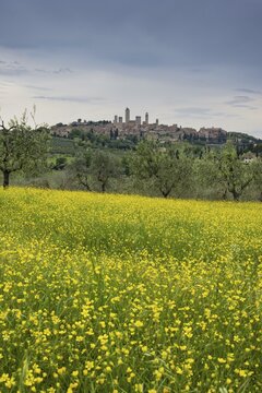 San Gimignano, Tuscany, Italy