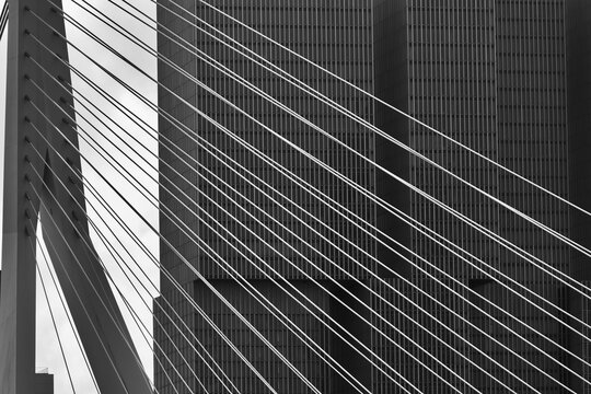 Erasmus Bridge and skyscrapers, Rotterdam, South Holland, Netherlands