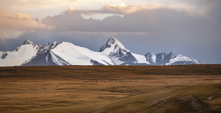 Glaciated and snow-capped mountains, dramatic landscape at sunset, high plateau, autumnal mountain landscape with yellow grass, Tian Shan, Sky Mountains, Sary Jaz Valley, Kyrgyzstan