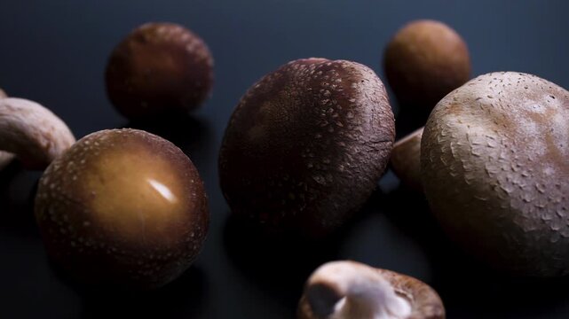 Cinematic Dolly Shot Through Shiitake Mushrooms Lentinula edodes on Dark Background