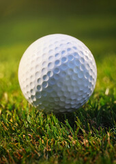 Fototapeta premium Pallina su campo da golf