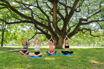 Four focused partners sit with arms raised beneath a huge tree, structural foundation, shared aspiration, mental clarity, and stable group growth.