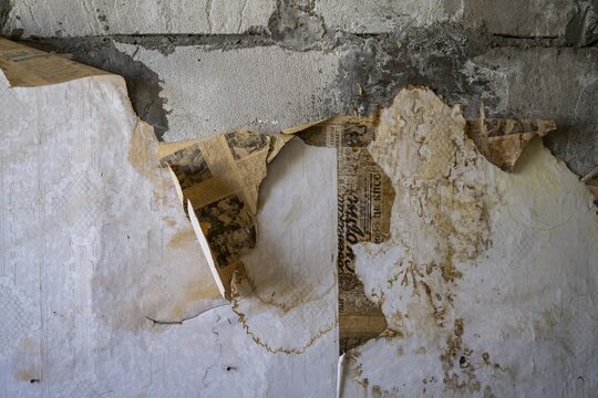 Remains of an old newspaper as wallpaper on a wall, abandoned ghost town of Engilchek, Tian Shan, Kyrgyzstan