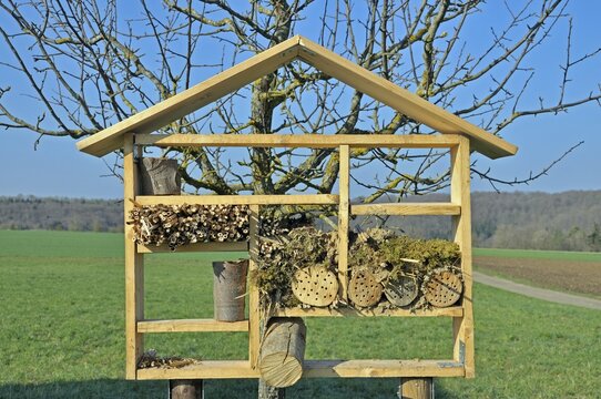 Nesting aid for wild bees and other insects with wood and elder stems, wild bee nesting aid, insect nesting aid, insect hotel