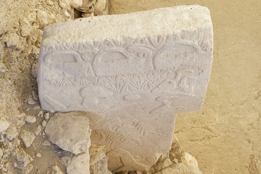 Gobekli Tepe neolithic archaeological site dating from 10 millennium BC, Massive stone pillars with sculptural relief of wild animals, Potbelly Hill, Sanliurfa, Turkey