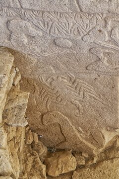 Gobekli Tepe neolithic archaeological site dating from 10 millennium BC, Massive stone pillars with sculptural relief of wild animals, Potbelly Hill, Sanliurfa, Turkey