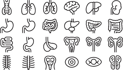 Various human internal organs are precisely outlined in black lines, set against transparent backdrop