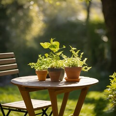 Potted Green Plants on Wooden Garden Table in Warm Sunlight
