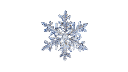 A single crystal snowflake isolated on a white background, a macro ice frost object for winter, a symmetric geometric shape, a cold season symbol, a detailed Christmas decoration concept.