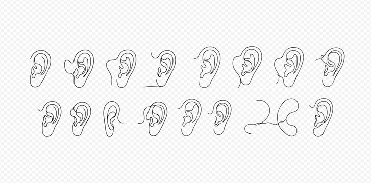 Collection of line art drawings illustrating various human ear shapes and anatomical structures on a transparent background.
