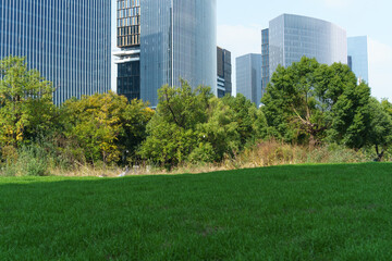 Obraz premium City skyline: modern towers, green lawn