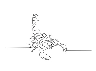 Continuous line art drawing of scorpion animal. Scorpio line art illustration. Editable stroke.