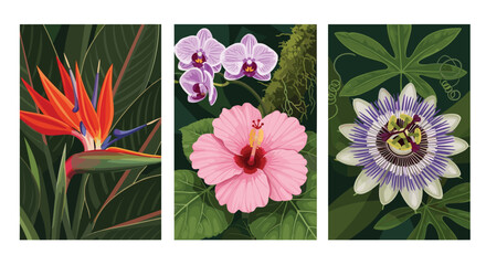 Set of three vertical banners showcasing vibrant tropical flowers: bird of paradise, hibiscus, orchid, and passion flower.