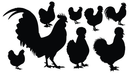 Silhouettes of various chickens and roosters in a black and white design