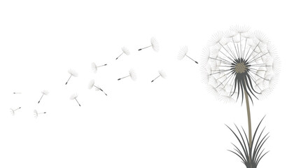 Delicate illustration of a dandelion with its seeds being carried away by a gentle breeze on a white background.