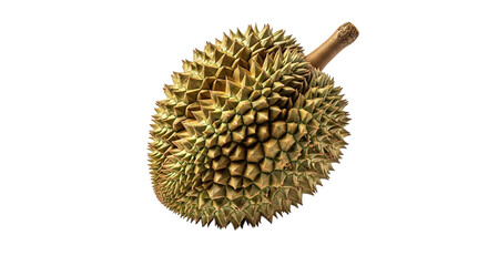 Closeup of a spiky durian fruit isolated on transparent background, showcasing its unique texture and shape, a popular tropical delicacy known for its strong aroma
