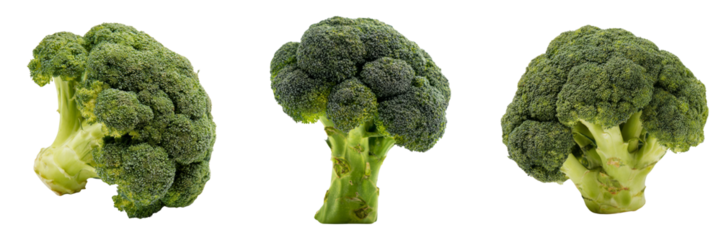 Fresh broccoli display vegetable market high-quality image transparent background close-up