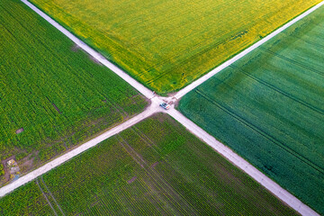 Aerial view of intersecting paths cutting through a vibrant patchwork of green and yellow fields, creating a striking geometric landscape, Mannheim, Baden-Wurttemberg, Germany.