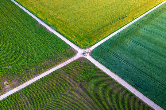 Aerial view of intersecting paths cutting through a vibrant patchwork of green and yellow fields, creating a striking geometric landscape, Mannheim, Baden-Wurttemberg, Germany.