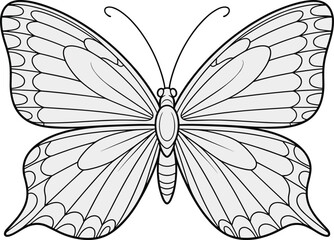 Fototapeta premium PrintElegant butterfly illustration, detailed wing patterns, black and white outline, symmetrical insect design, nature artwork drawing for coloring pages