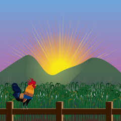 Rooster on a Fence over a Corn Field at Sunrise