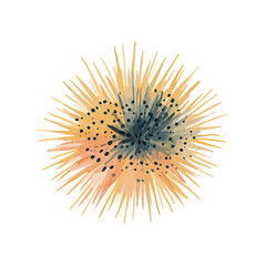 Obraz premium Abstract Watercolor Sea Urchin Illustration.