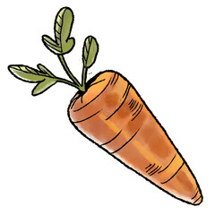 Carrot