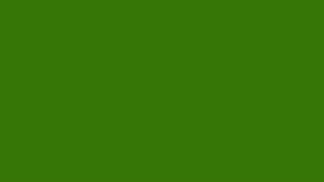 Twinkling star, vector glowing star light effect doodle style on Green Screen Chroma Key, twinkle Sparkle Stars animation 4k video