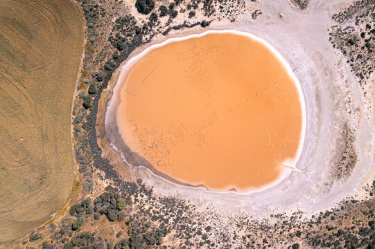 Aerial view of a striking ochre lake surrounded by stark white salt flats and scrubby vegetation, contrasting with adjacent golden fields, West Ballidu, Western Australia, Australia.