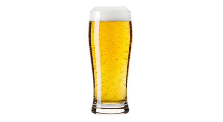 Tall glass of golden lager beer with frothy white head isolated on black