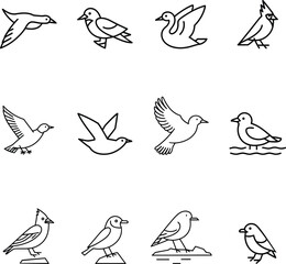 Collection of twelve black line art bird icons flying