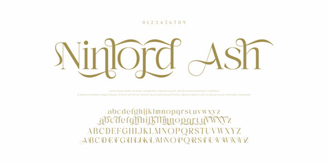 Lettering Fashion Designs. Modern elegant alphabet letters font and number. Minimalist typography fonts regular, typeface uppercase and lowercase.