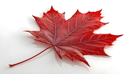 Stunning red maple leaf showcasing vibrant autumn color and intricate leaf vein detail, perfect for seasonal designs and nature-inspired projects