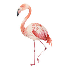 Elegant Watercolor Flamingo Illustration with Soft Pink Feathers and Graceful Standing Pose
