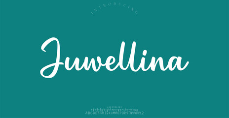 Signature Font Calligraphy Logotype Script Brush Font Type Font lettering handwritten