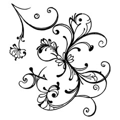 floral design element transparent background