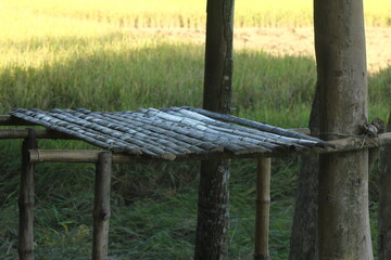 Wooden structure in a field with tall grass and trees, a glimpse of nature, outdoors, and a tranquil rural setting