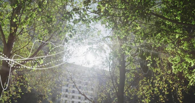 Shining sun piercing deciduous tree canopy at urban courtyard, with lens flare, dotted lines, flats