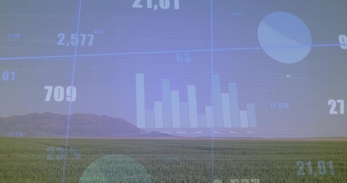 Projecting faint bar chart over grassy plain near horizon, showing pie chart, numeric labels