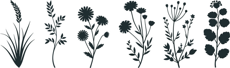 Set of six elegant botanical silhouettes of wildflowers and leaves on beige background, minimalist nature vector design illustration